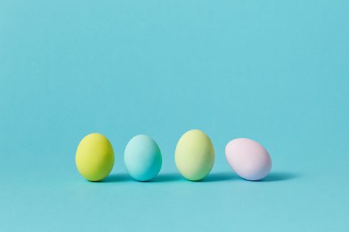 Free A row of pastel-painted chicken eggs on a vibrant blue background in a studio setting. Stock Photo