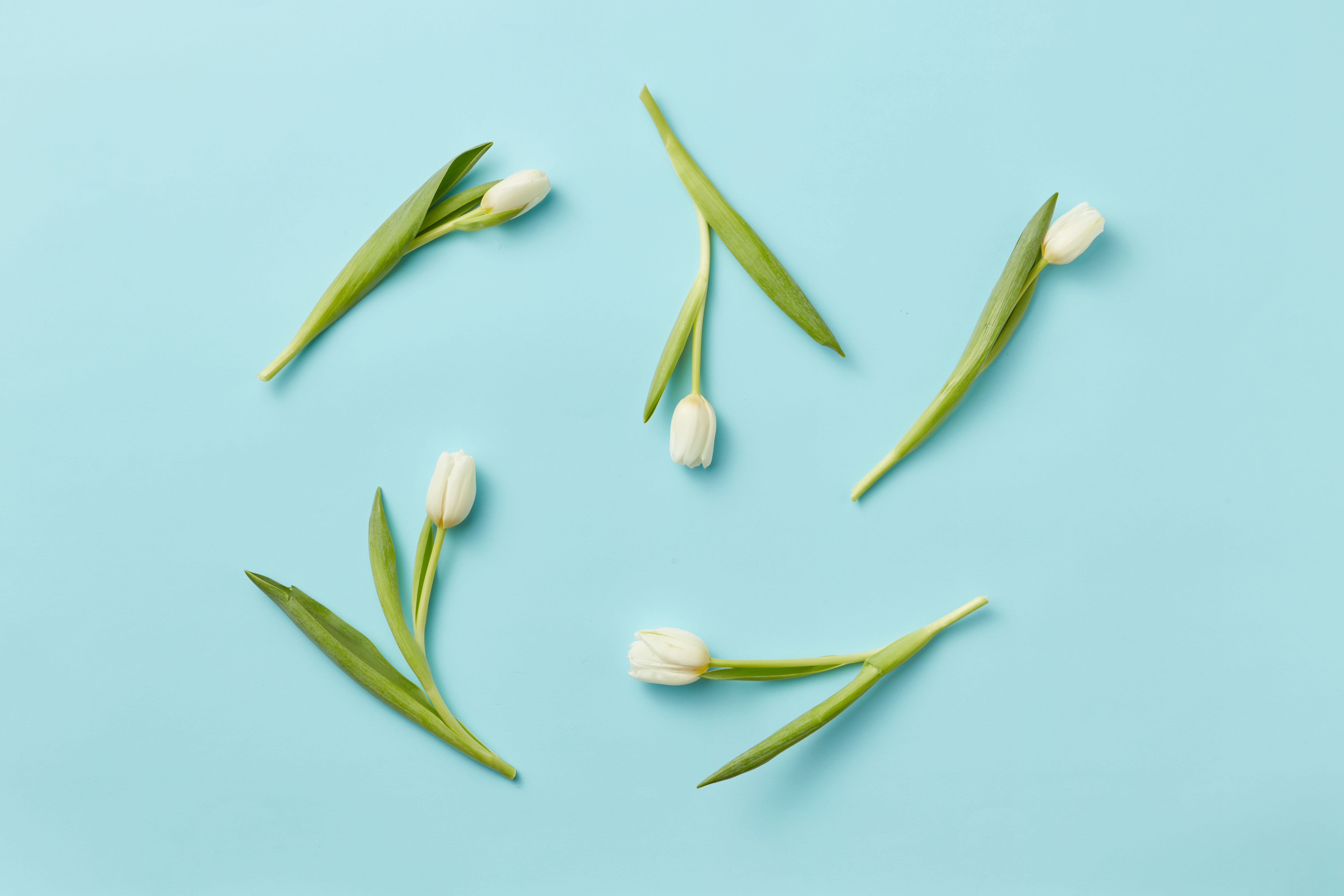 Spring Means Simple and Balanced