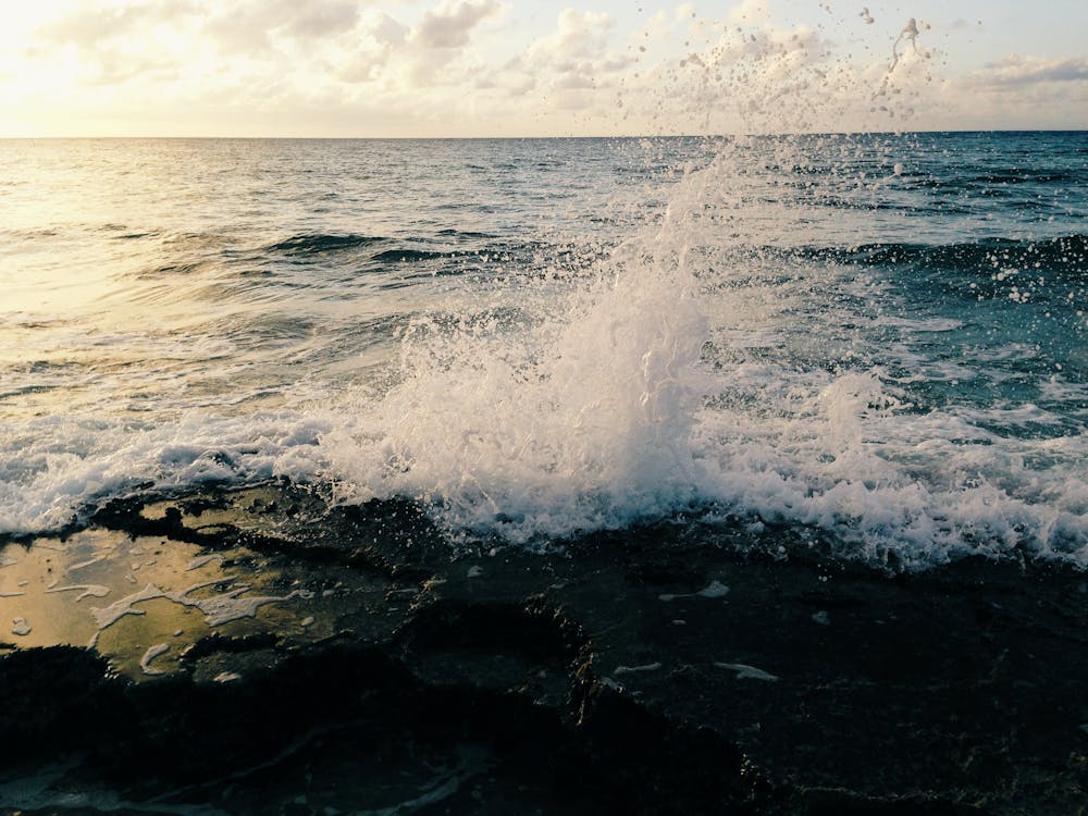 Gratis stockfoto met golven, h2o, oceaan Stockfoto