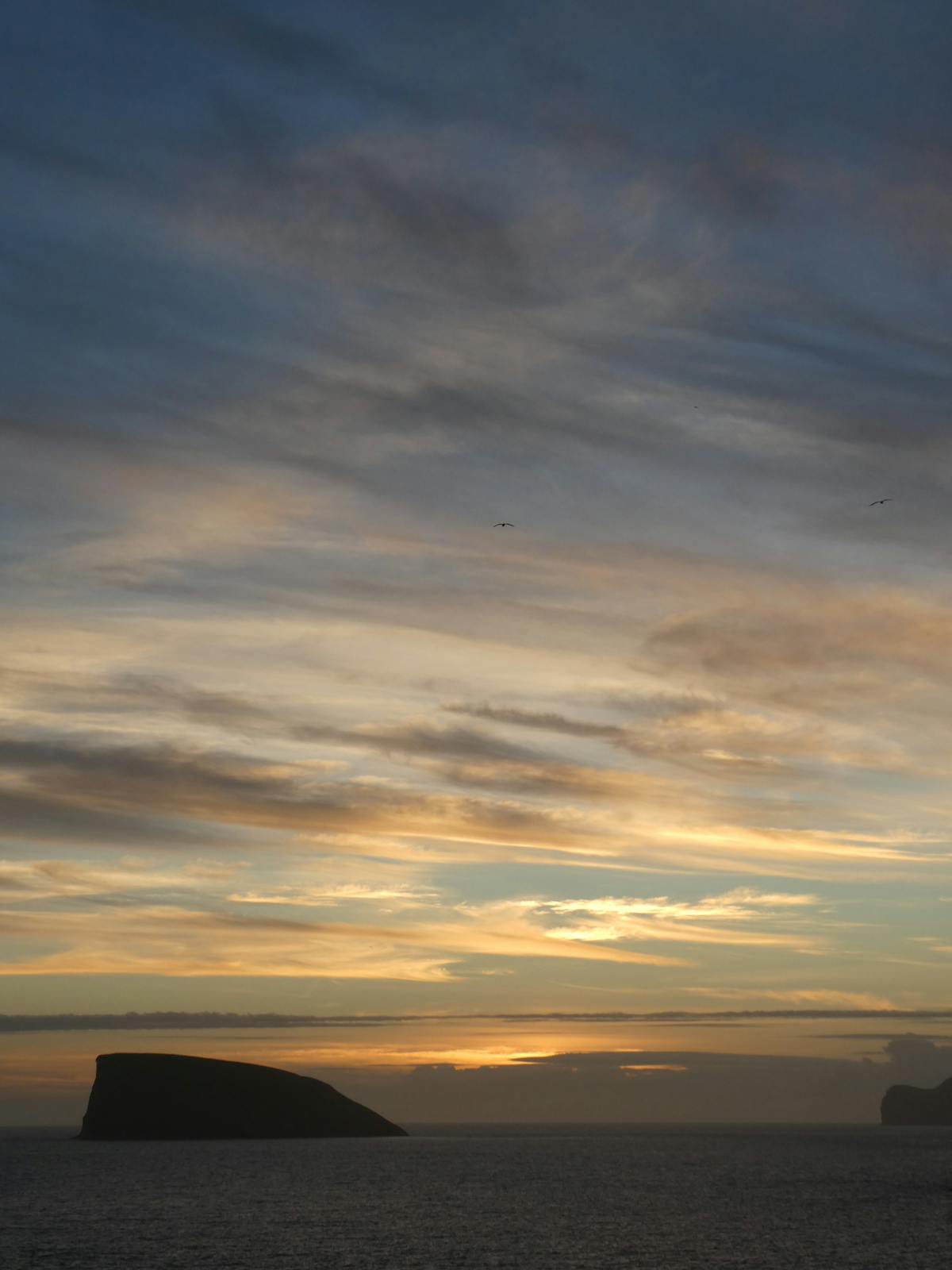 Analytics dashboard showing upward trend lines representing digital engagement