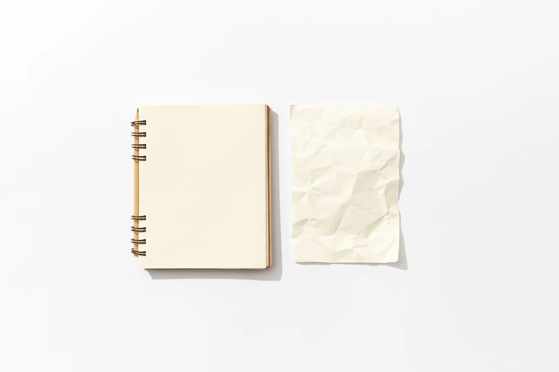 Exploring the Boundaries of Isolation in The Wall by Marlen Haushofer - Advance Book Readers