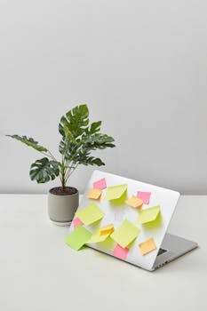 A laptop covered in colorful sticky notes beside a potted plant on a minimalist desk.
