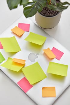 Bright sticky notes cover a laptop next to a potted plant, showcasing a vibrant workspace.