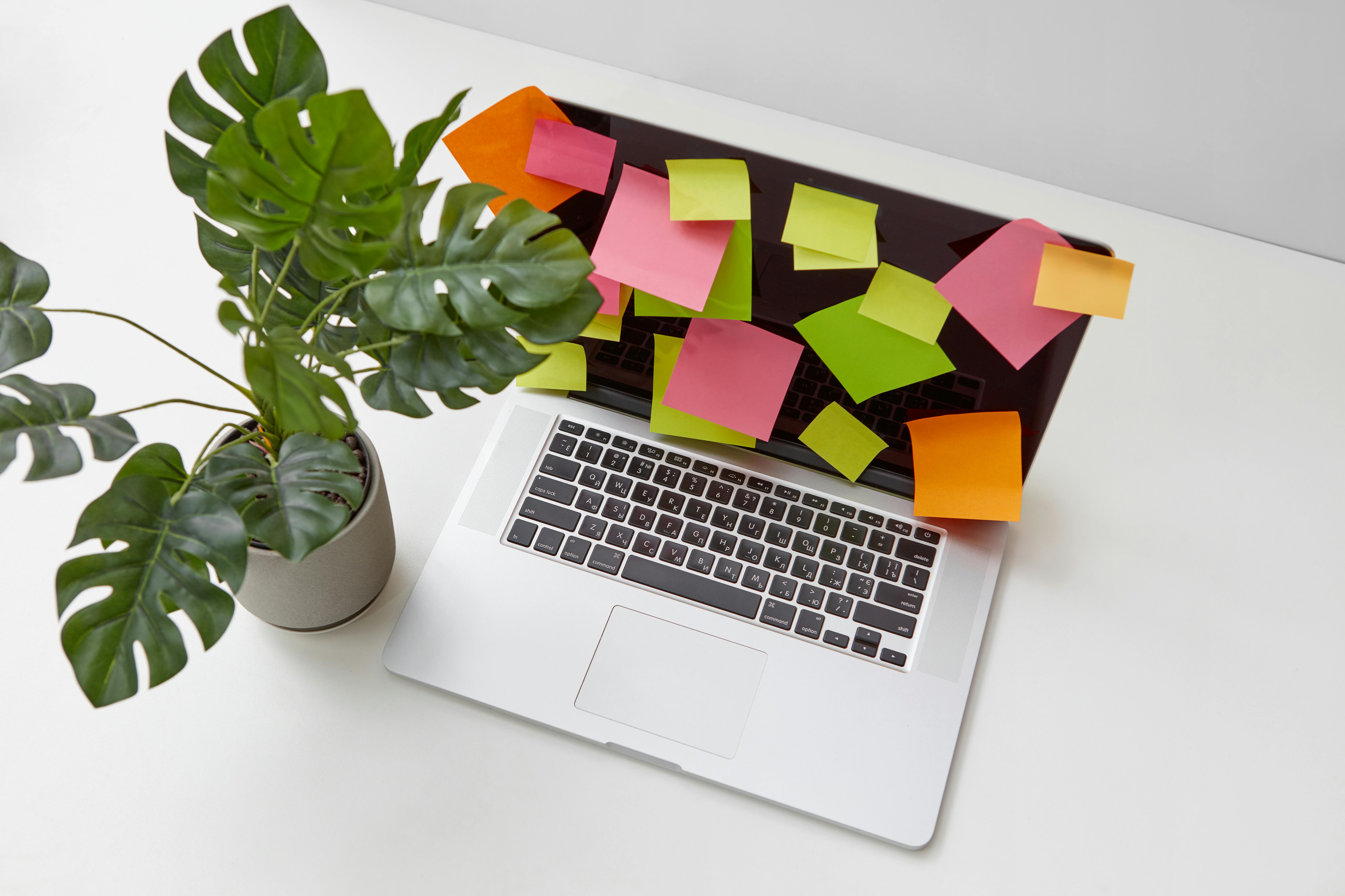 These Apps Make Productivity Easier and More Fun — Photo by DS stories on Pexels