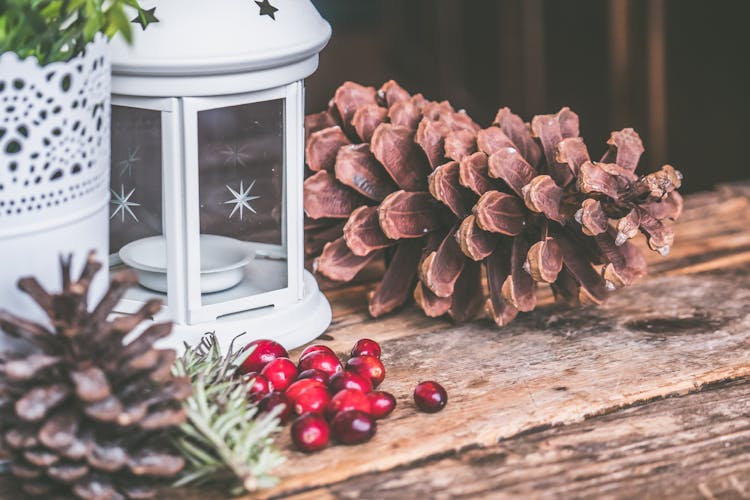 Brown Pinecone Beside Candle Lantern