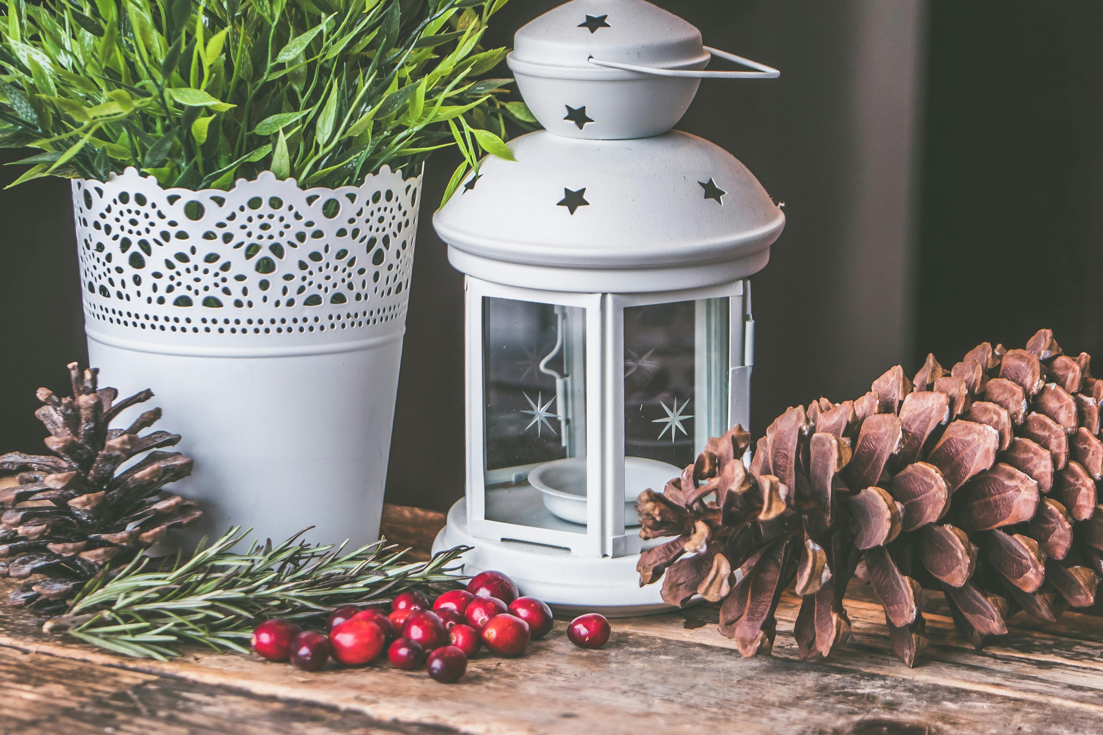 Close-up of a rustic indoor scene with candle lantern, pine cones, and greenery on wooden surface.