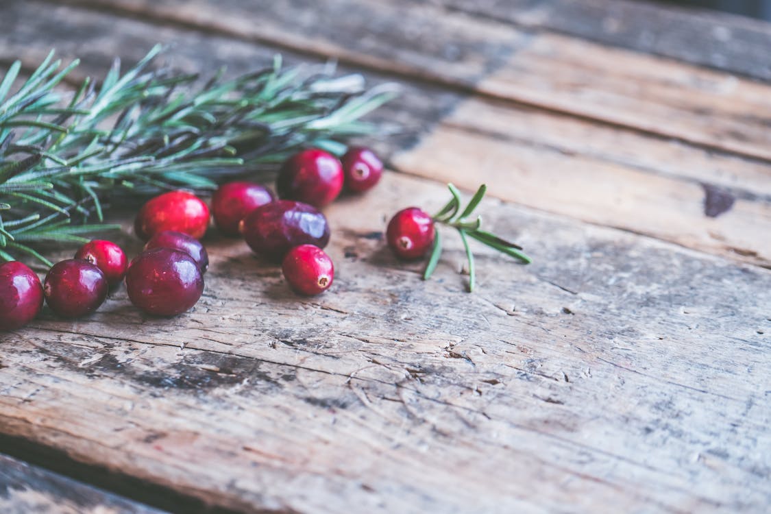 Free stock photo of background, christmas, cranberries Cranberry Christmas