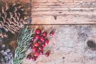 乡村度假装饰的顶视图：木质表面散落着松果、蔓越莓和迷迭香