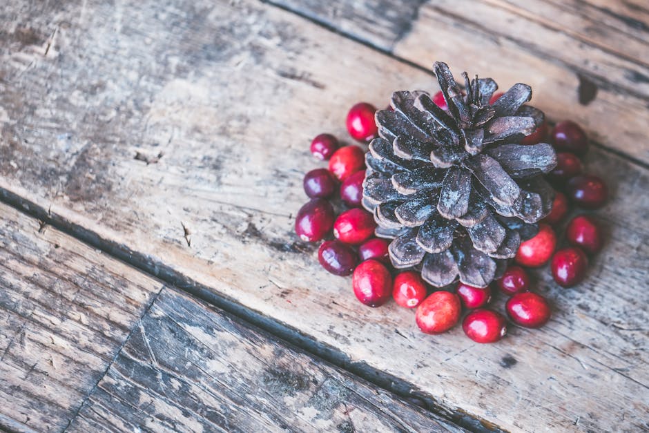 Brown Pine Cone Surrounded by Red Cranberry