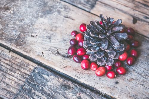 Free A rustic wooden table with cranberries and a pinecone, perfect for winter holiday decor. Stock Photo