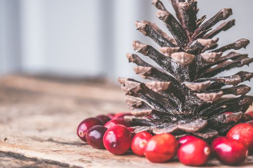 Free A rustic close-up of a pine cone surrounded by cranberries on a wooden surface. Stock Photo
