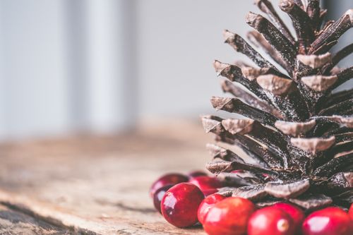 Free Close-up of a rustic arrangement with a pine cone and cranberries on a textured wooden surface. Stock Photo