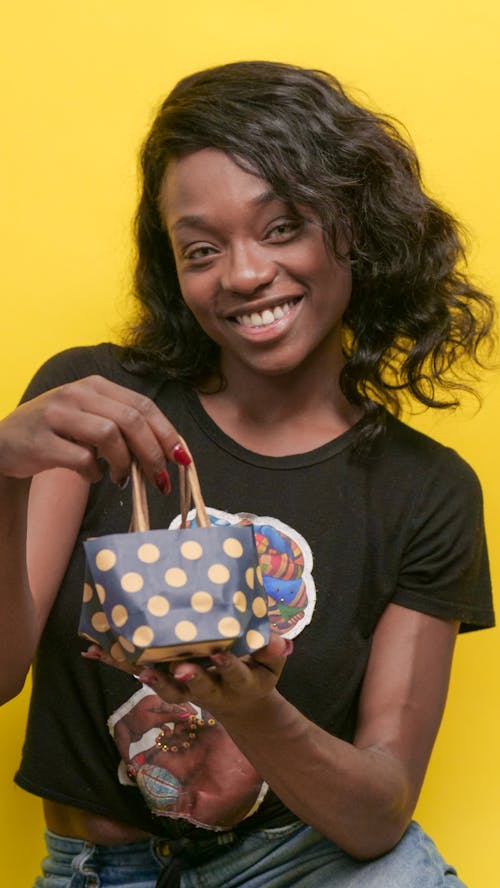 Ilmainen kuvapankkikuva tunnisteilla afroamerikkalaiset naiset, hymyily, online-osto