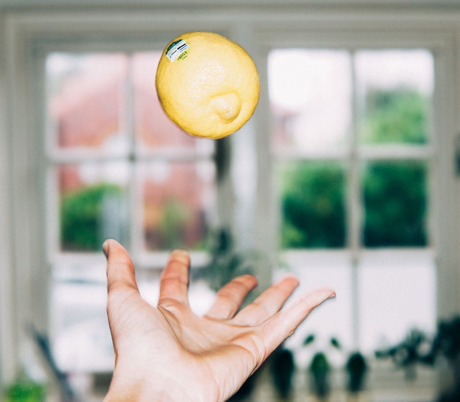 A lemon suspended midair above a hand inside a bright room with a blurred window background.