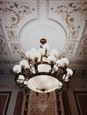 Turned-on Brown Framed Uplight Chandelier