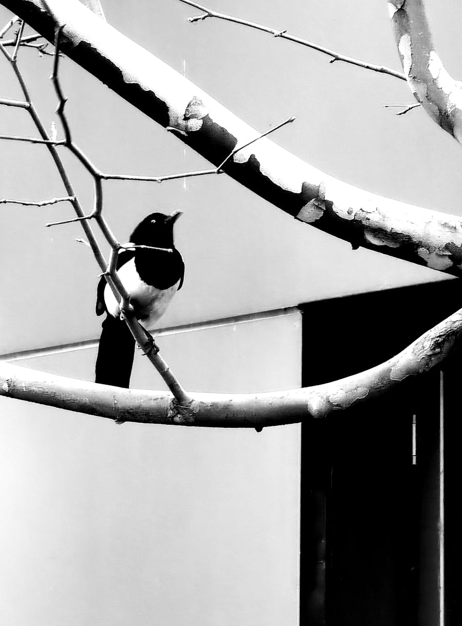 Healthcare and CSR partnership planning