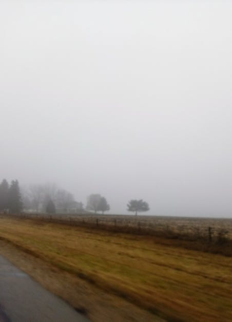 Free stock photo of #cold #iowa #fall #roadtrip #view #trees #peace, #fog