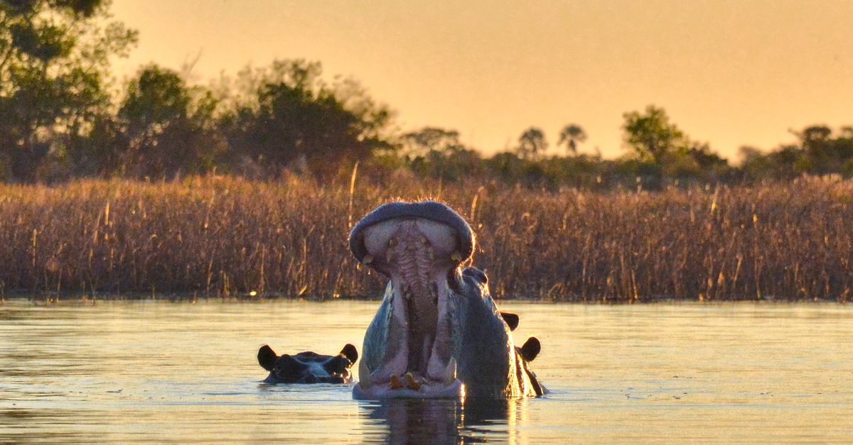 Photo of Botswana