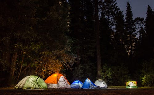 Free Six Camping Tents in Forest Stock Photo