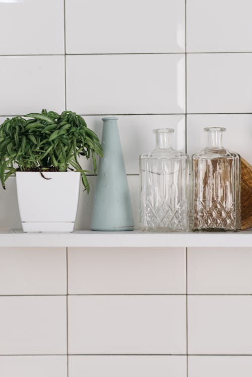 Free Glass Containers Beside a Potted Plant Stock Photo