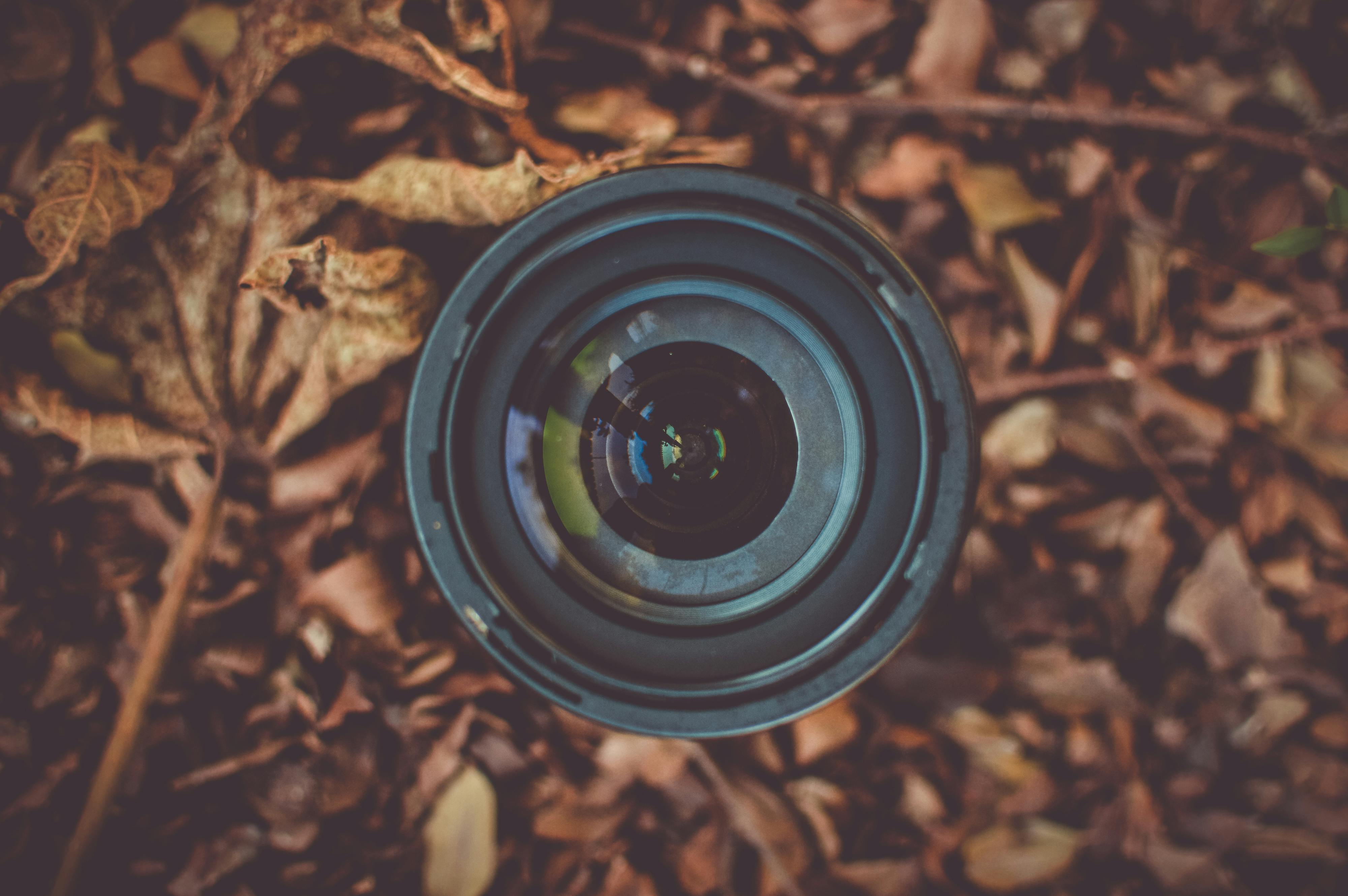 Black Camera Lens on Brown Dried Leaf \u00b7 Free Stock Photo