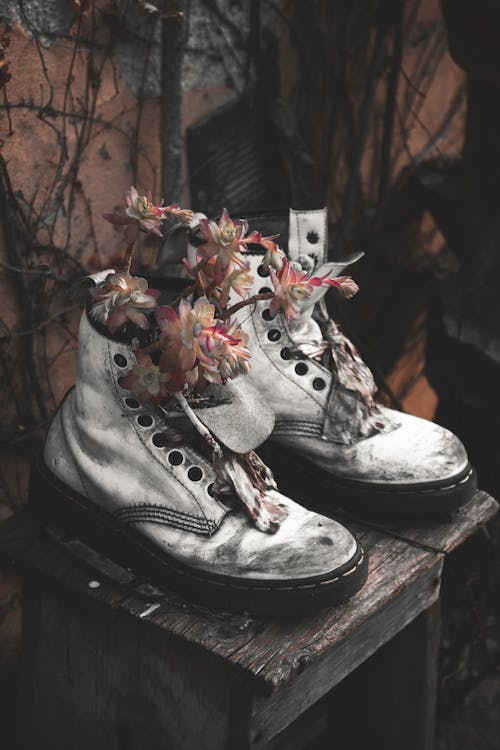 
A Plant in White Boots