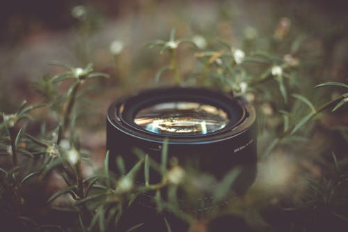Camera Lens Surrounded by Green Outdoor Grass