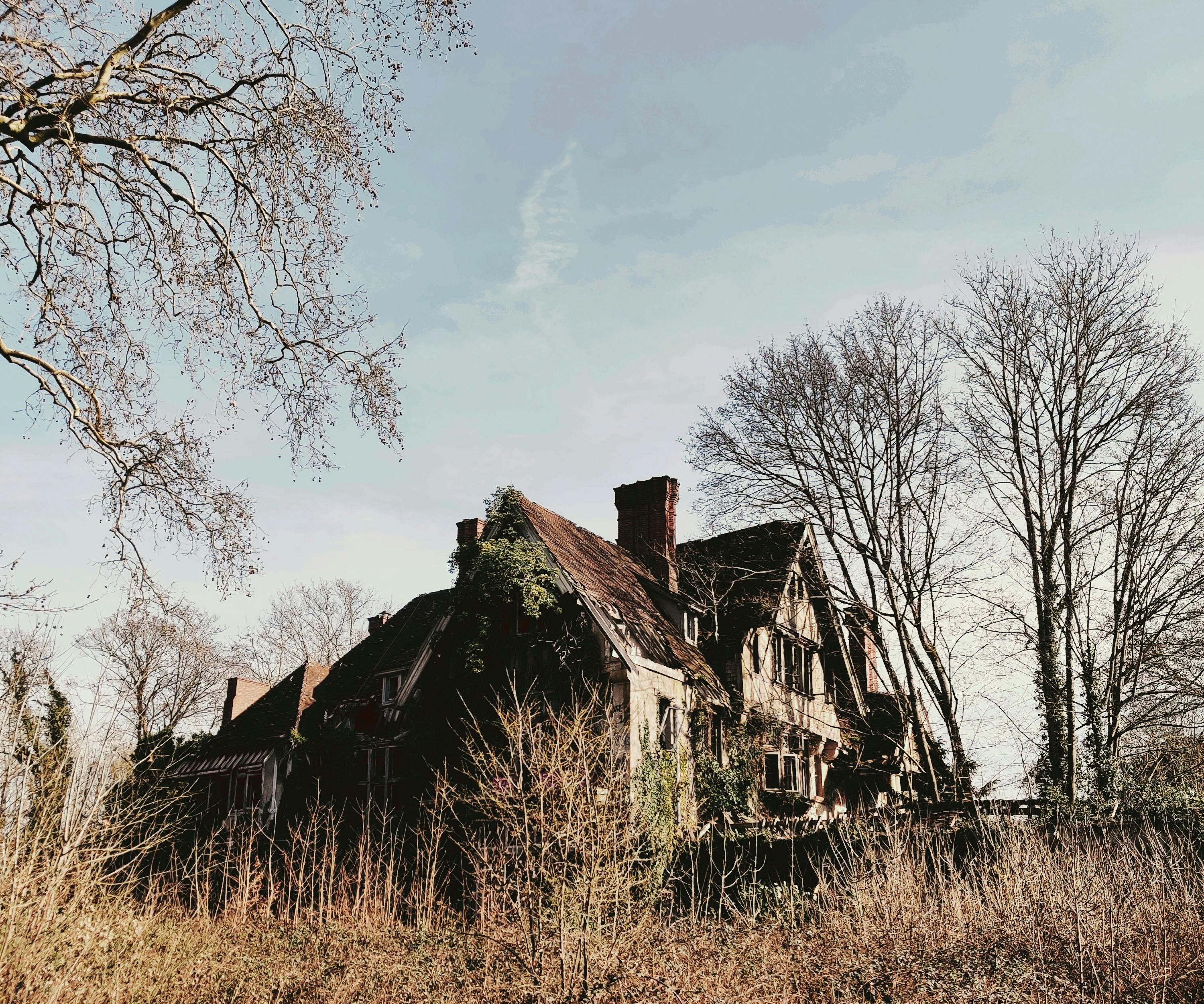 The Energy Vampires Haunting Your Home — Photo by Gurvan  Rolland on Pexels
