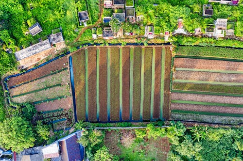 Aerial Shot of Farmland