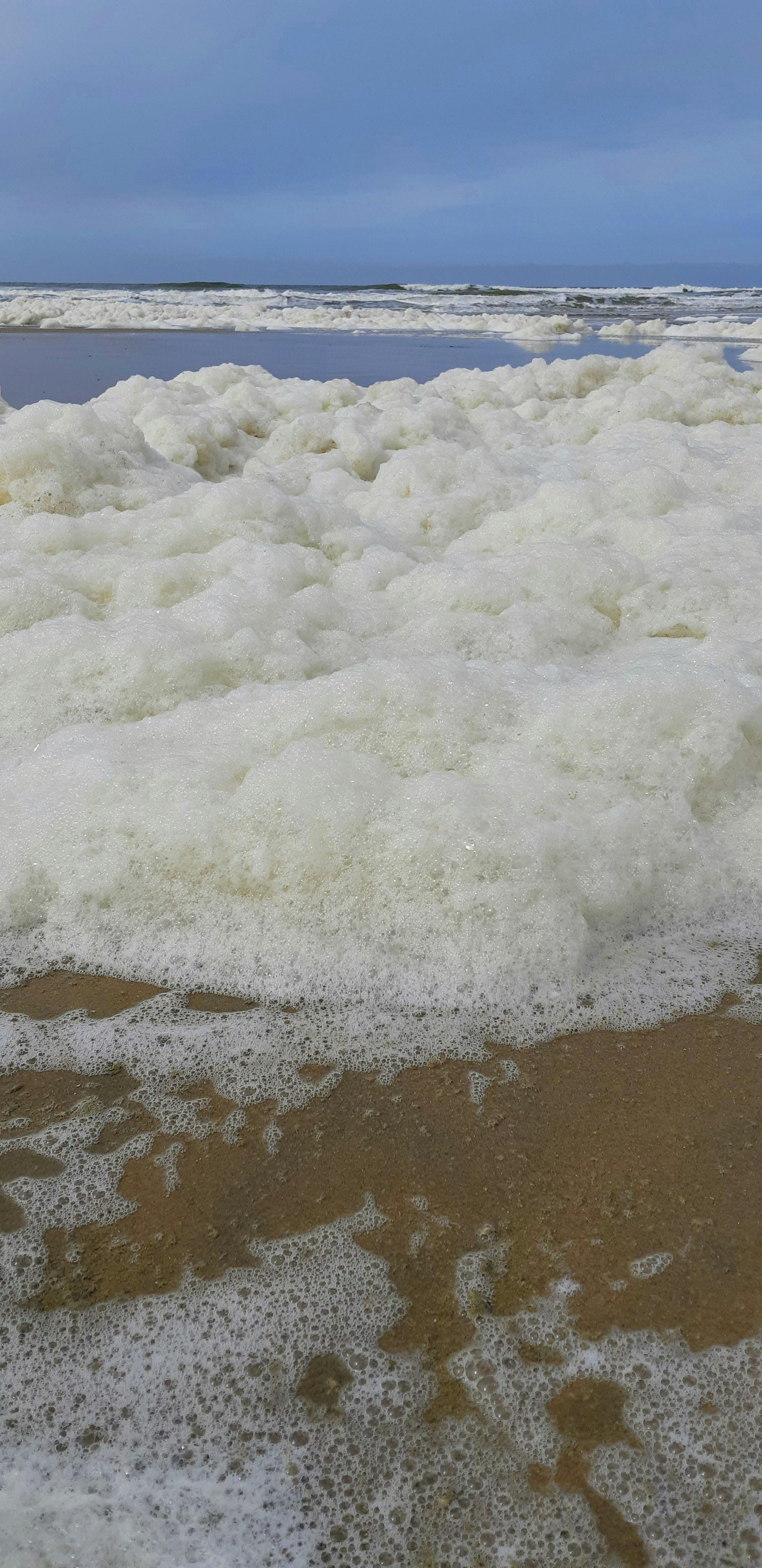 Doctor reviewing brain scan images on a computer screen with a patient