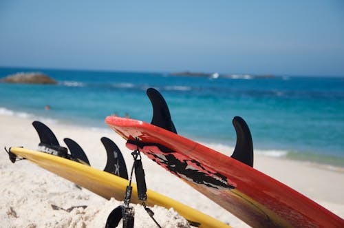 Pranchas De Surfe Amarelas E Vermelhas Perto De Um Corpo De água Calmo E Azul