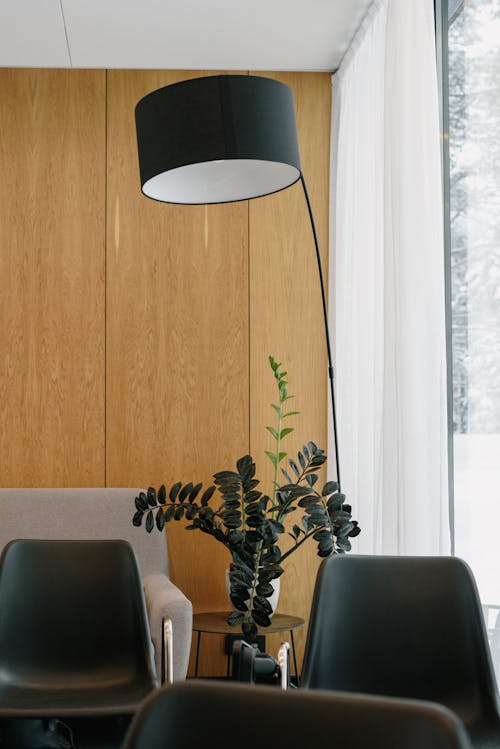 Základová fotografie zdarma na téma design interiéru, lampa, okrasná rostlina