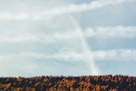 蔚蓝的天空下，缕缕云层笼罩着森林中生机勃勃的秋叶