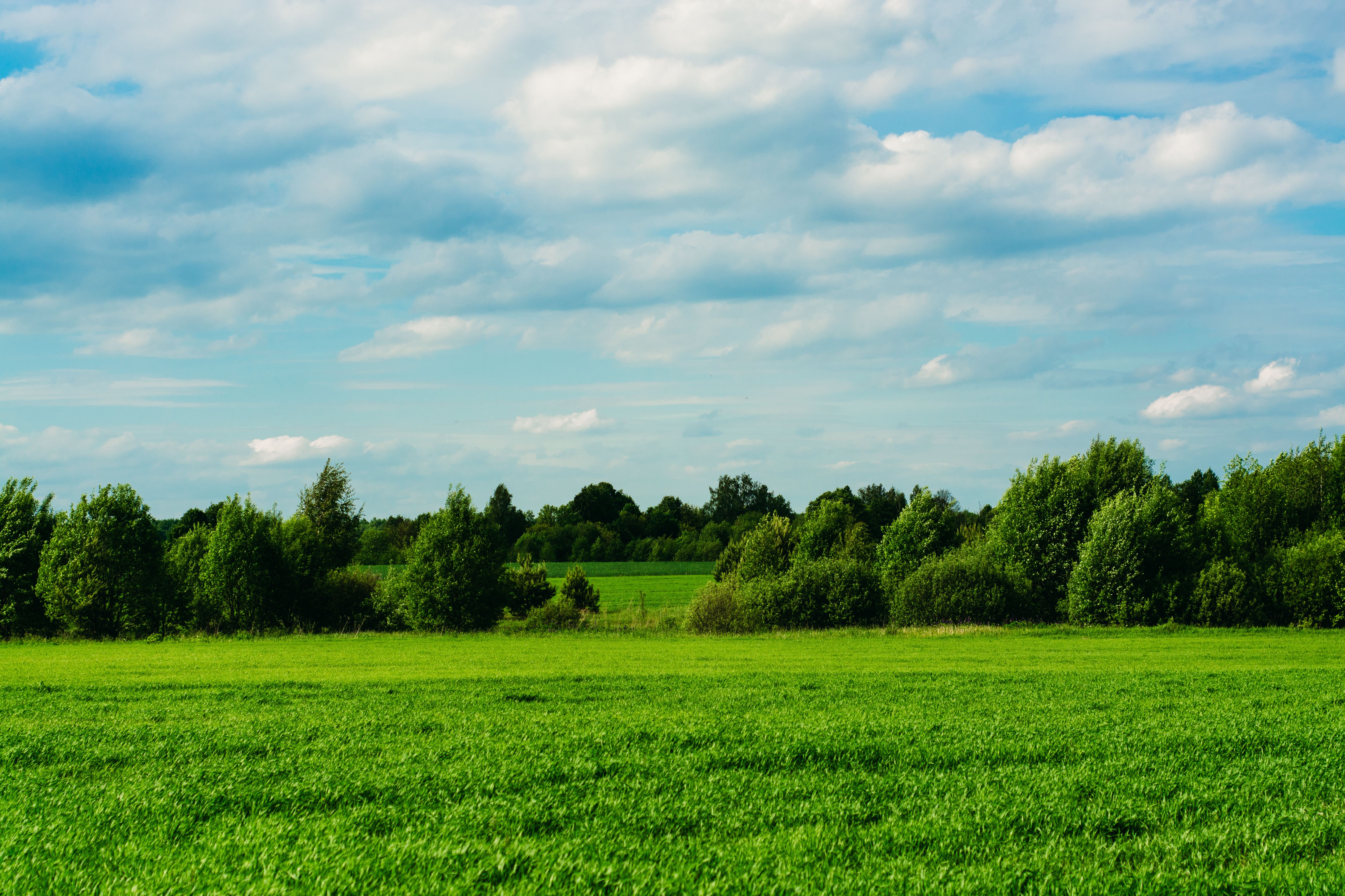 Green Grass Field Under Cloudy Blue sky · Free Stock Photo