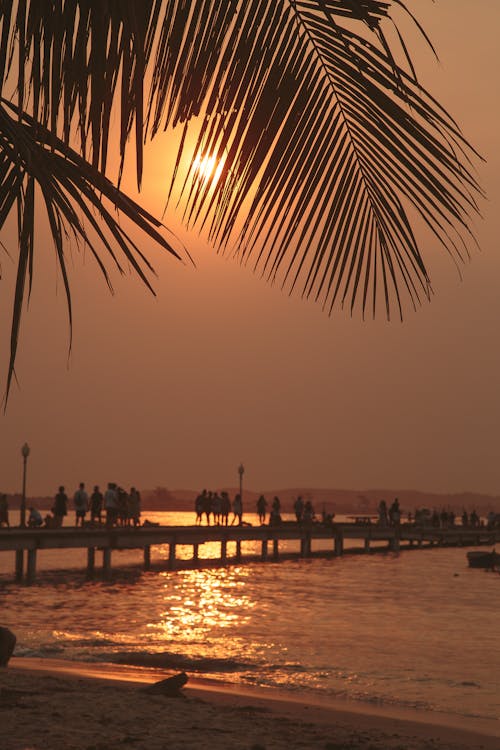 People Walking on Dock