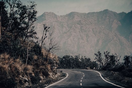 A winding road through the mountainous landscape of Kashmir, offering a serene and picturesque view.