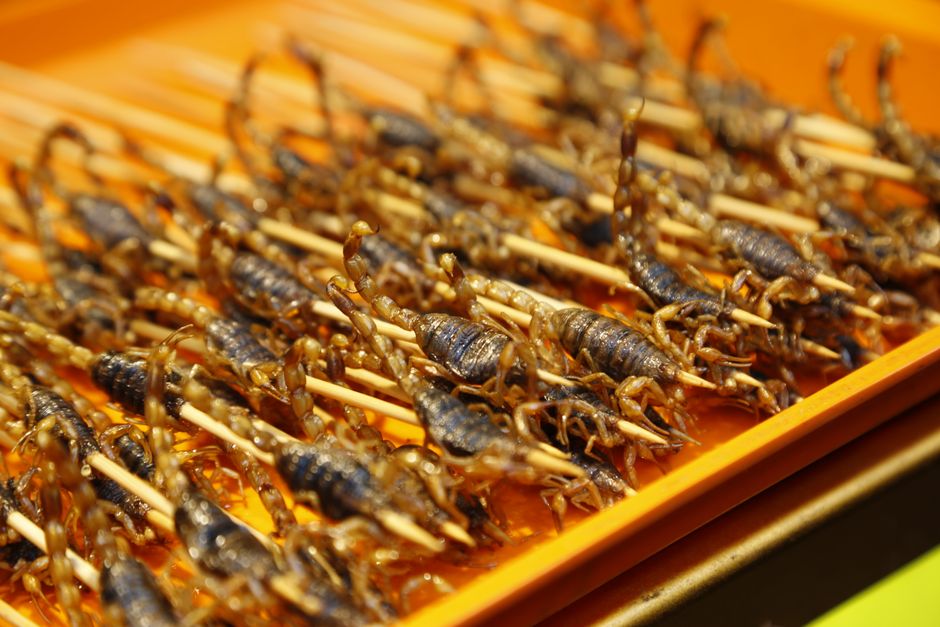 Shanghai food and travel