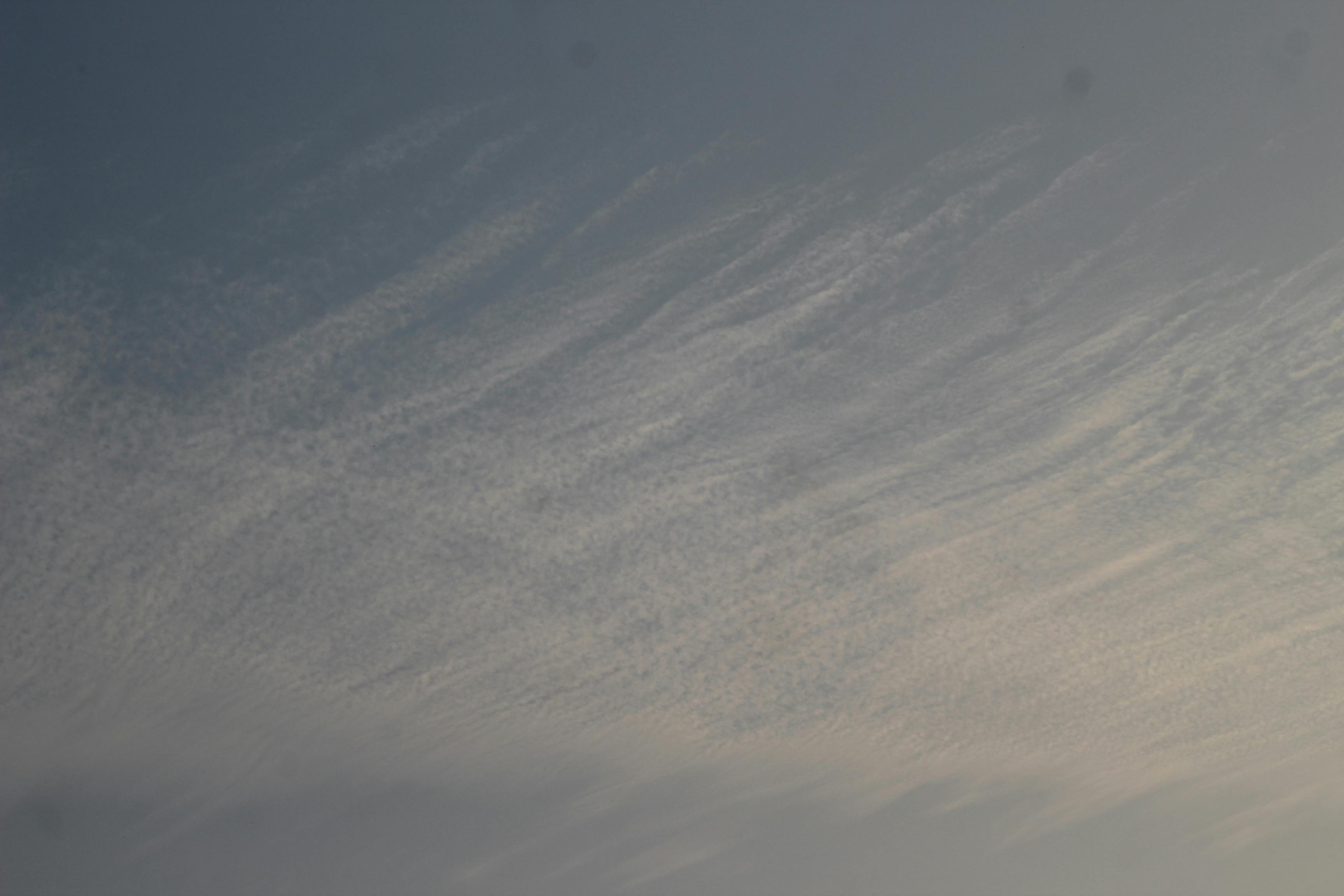 名古屋市天际线