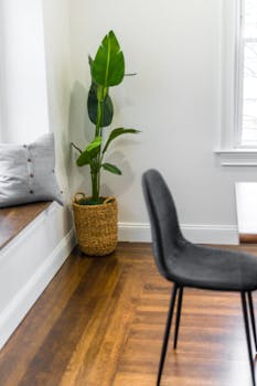 A stylish corner of a modern apartment featuring a potted plant and sleek furniture.