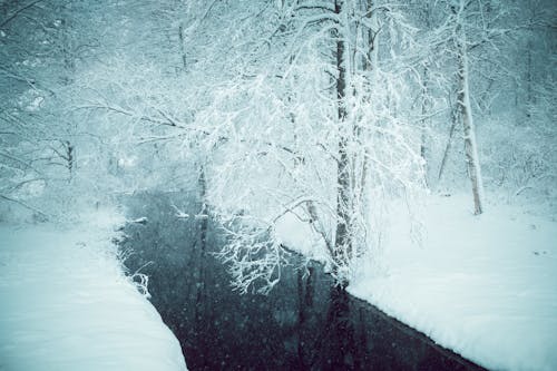 Ilmainen kuvapankkikuva tunnisteilla flunssa, joki, lumi