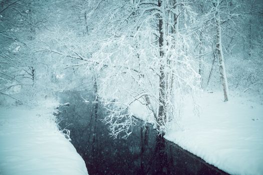 Snowy forest with a serene river during winter, showcasing a tranquil scene.