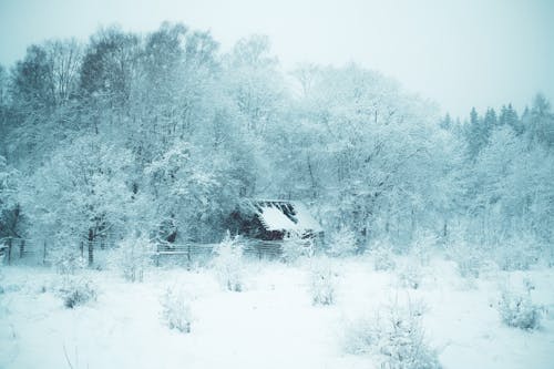 House in Winter Scenery