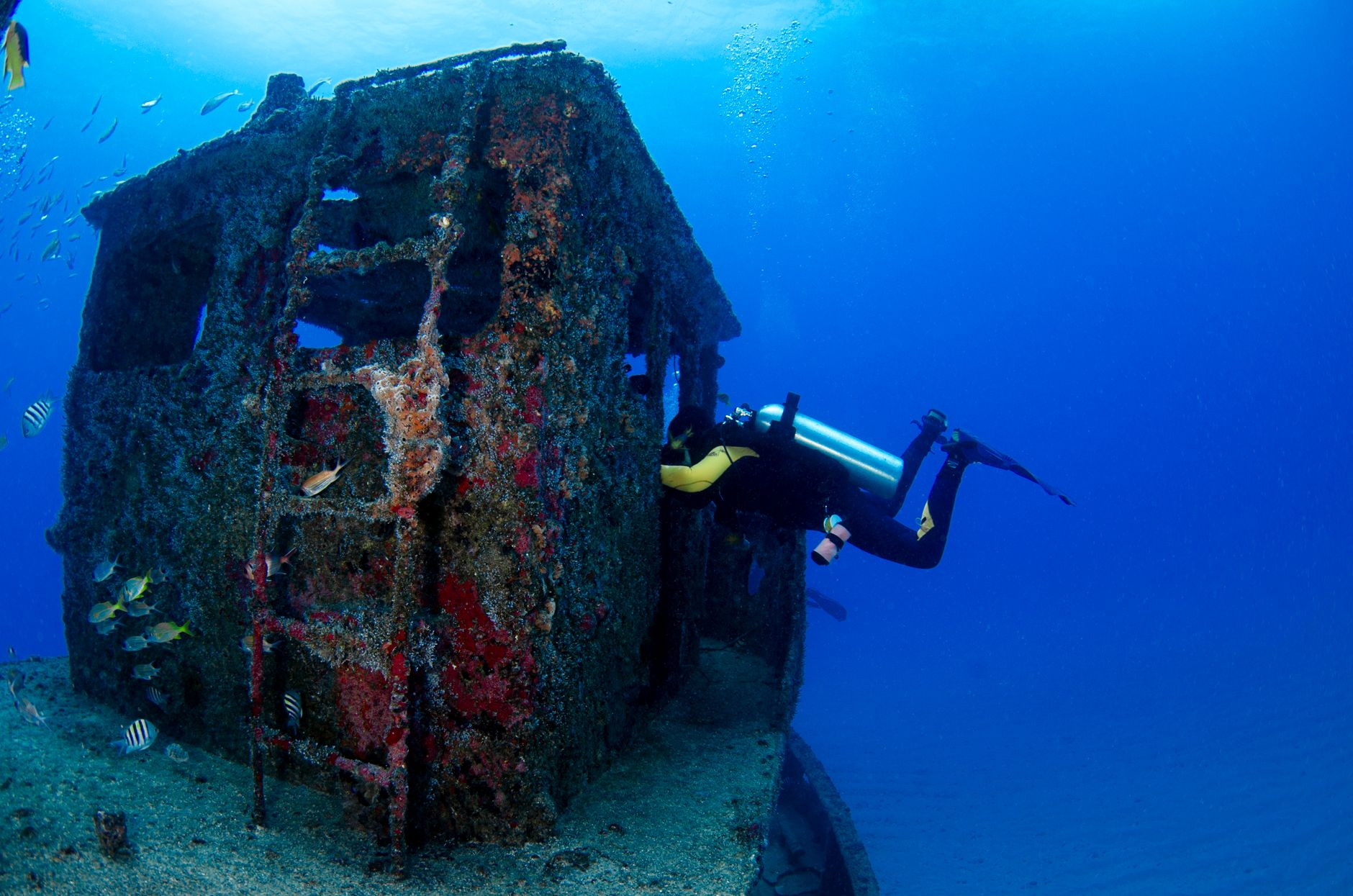 Best Scuba Diving Destinations Worldwide photo 6