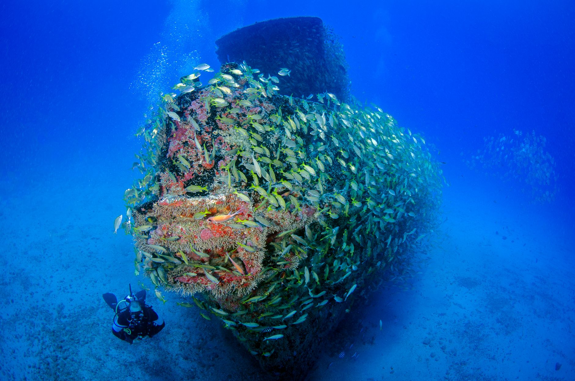 Egypt – Severní safari a Tiranské ostrovy