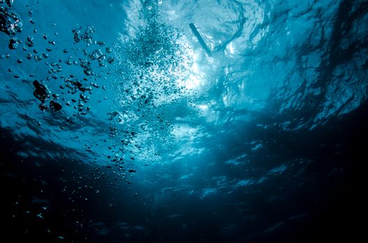 Dynamic underwater photo capturing the serene beauty of blue ocean waters.