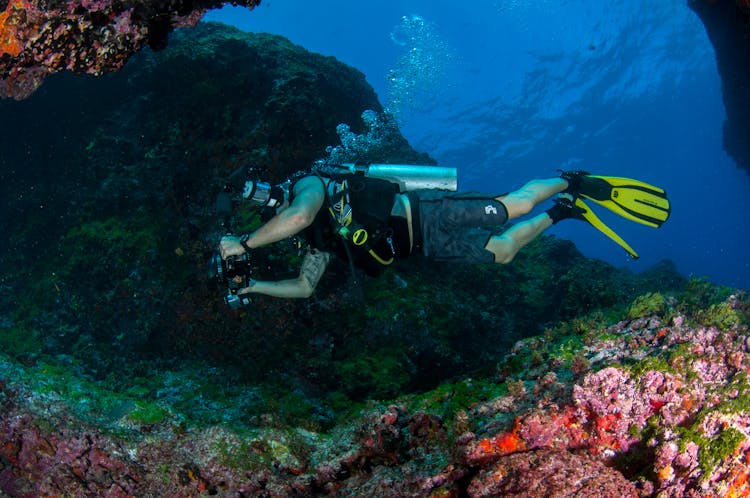  Man Wearing Diving Gears Underwater