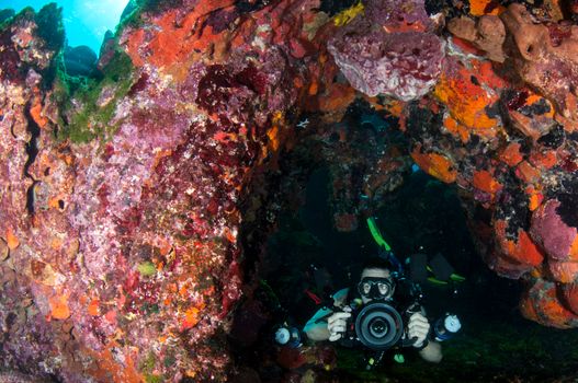 Diver with camera exploring a colorful coral reef underwater.