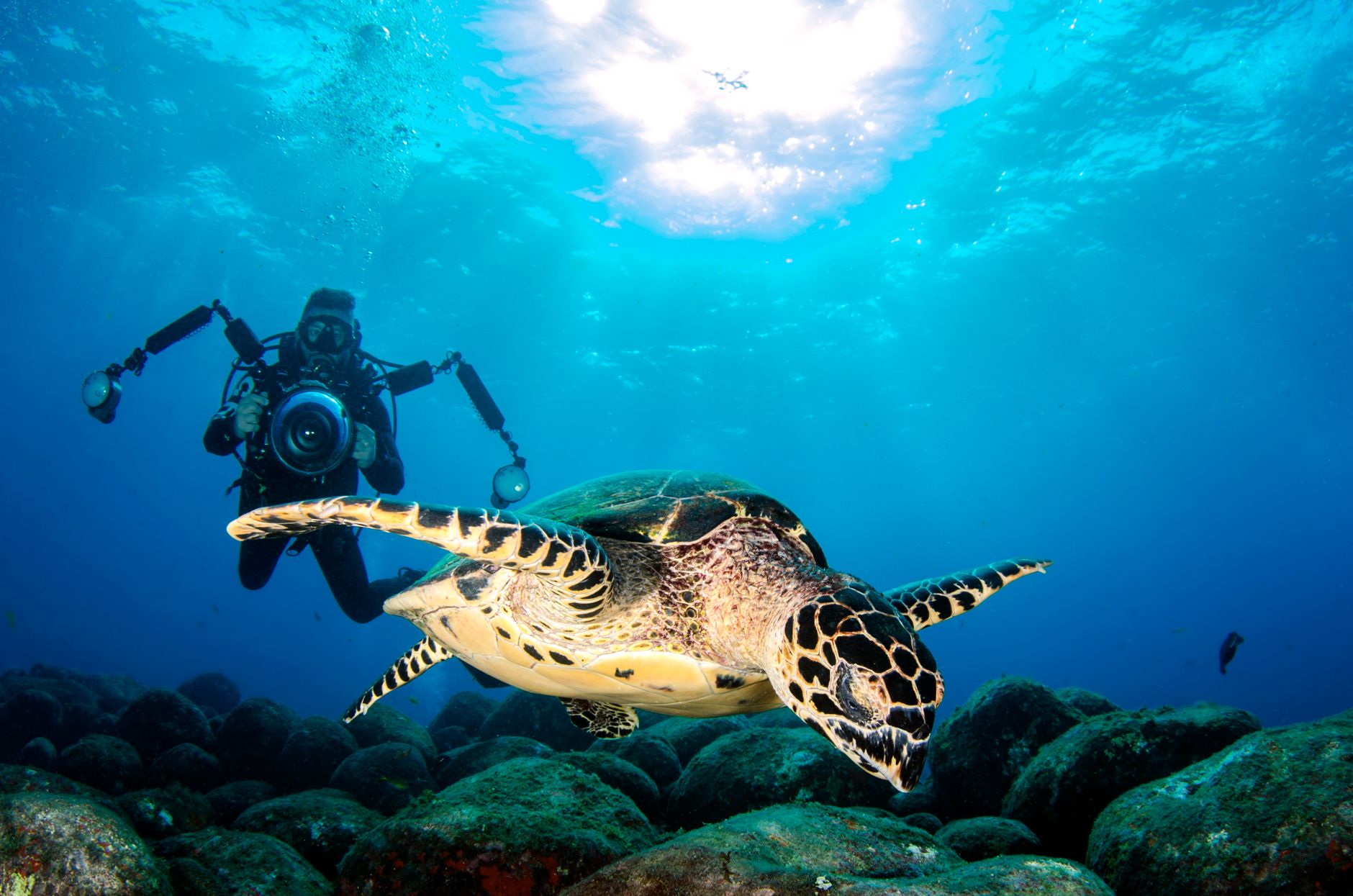 Your Guide to Diving in Seychelles April 2027