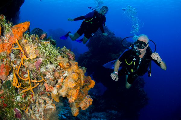 Two divers on a coral reef
