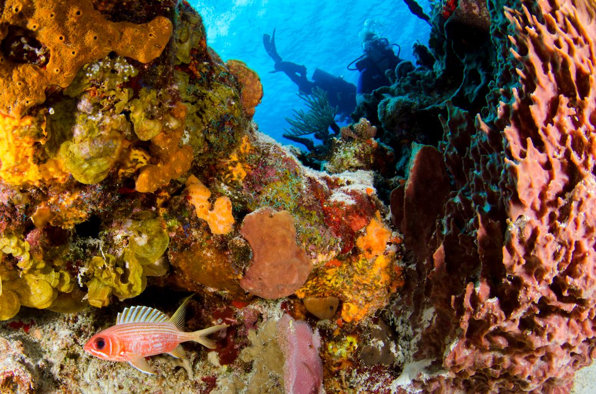 Nosy Be - imagen 3